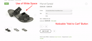 Image of Shoe and White Space on Toronto E-Commerce Site - Bush Marketing Toronto Web Design Company